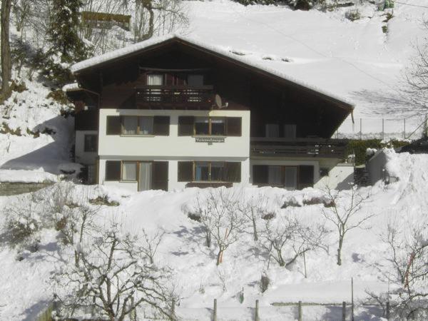 Gaestehaus Andrea Schruns Extérieur photo